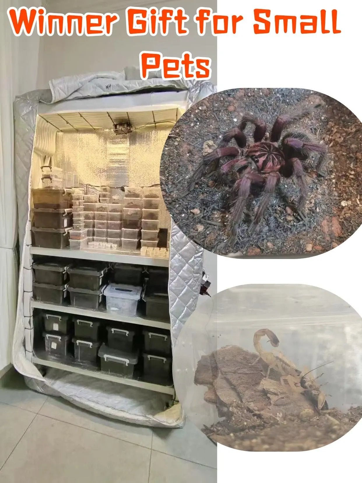 Custom Keeping-Warm Window Curtain 01